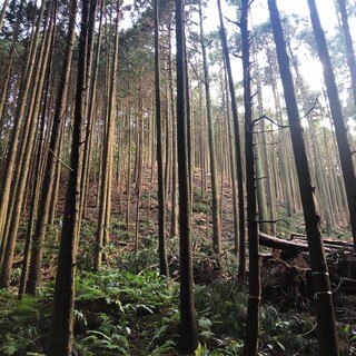 永田木材 訪問