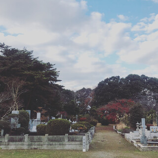 墓地計画 始動