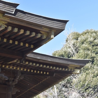 2022年 ご挨拶